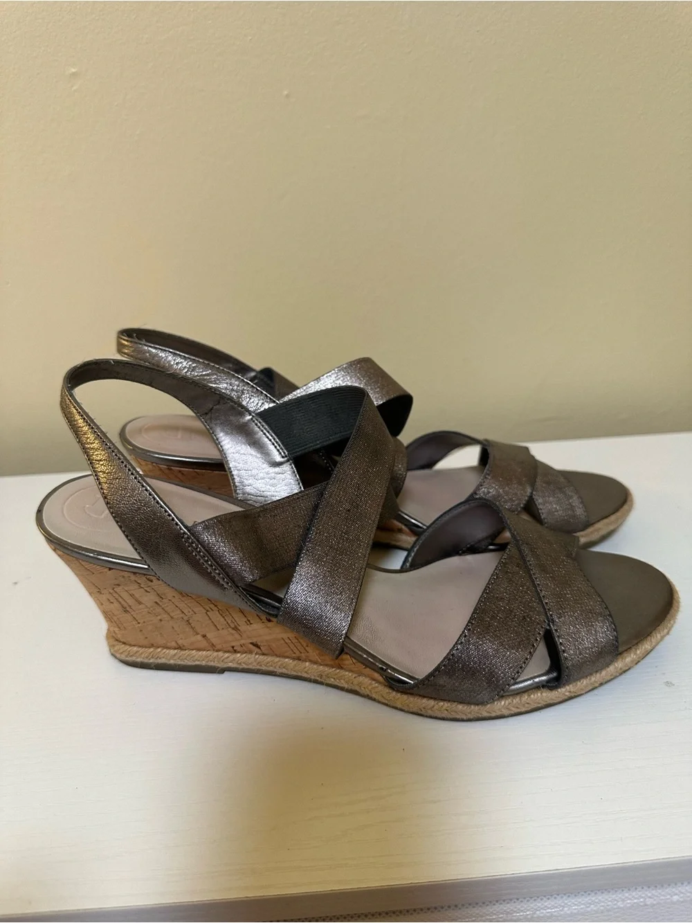 Metallic Etienne Aigner Wedge Sandals for Women